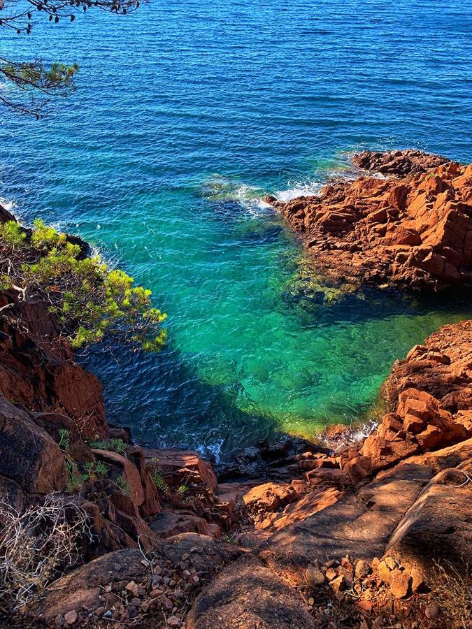 Studio Tout A Pied - Vue Sur Mer 圣艾格夫 外观 照片